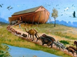 O segredo da arca de Noé